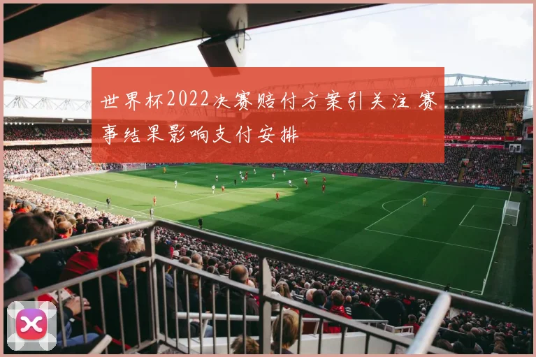 世界杯2022决赛赔付方案引关注 赛事结果影响支付安排