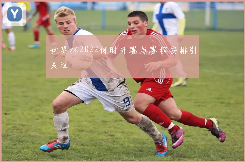 世界杯2022何时开赛与赛程安排引关注